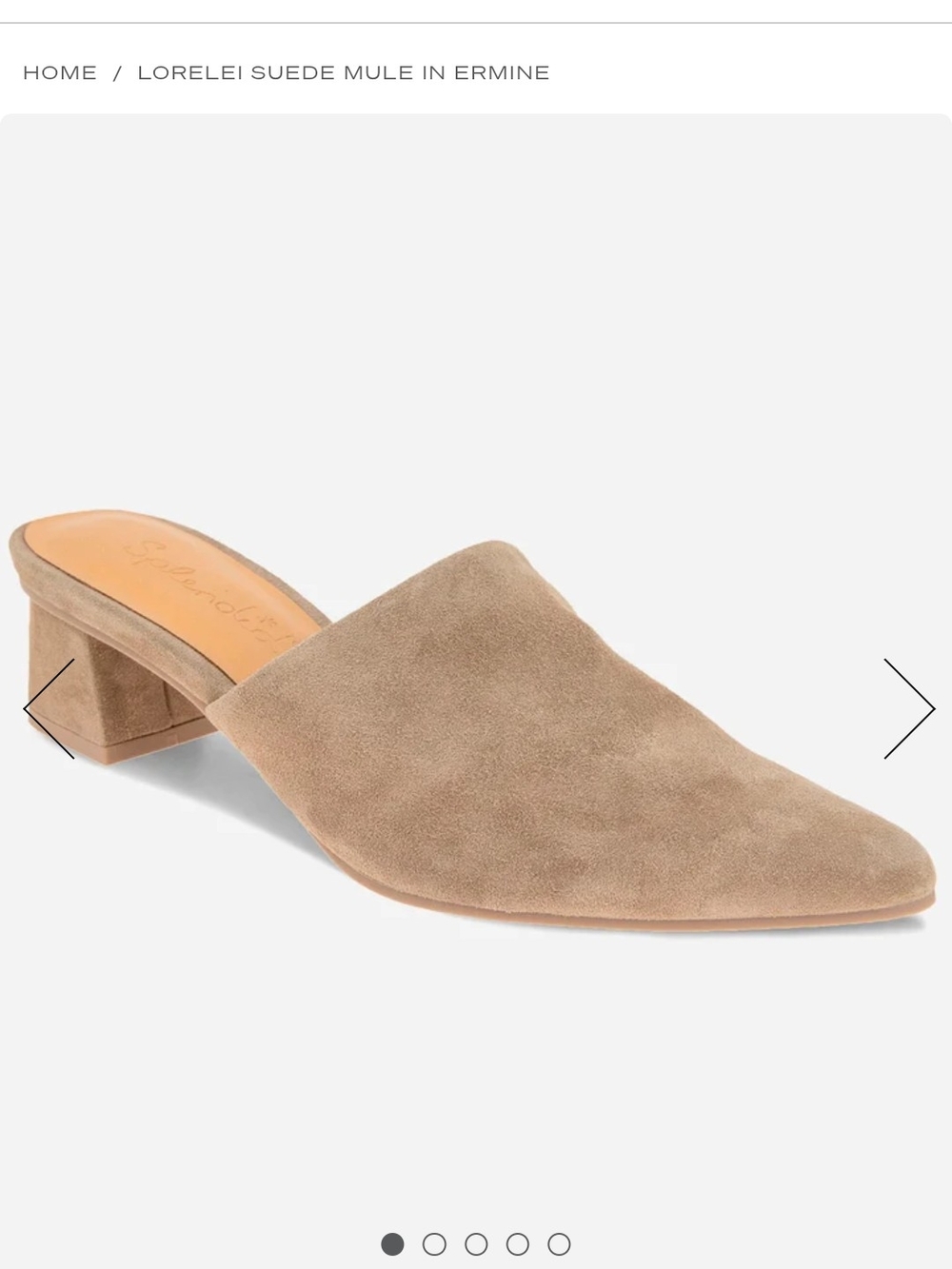 Splendid Lorelei Suede Mule in Ermine